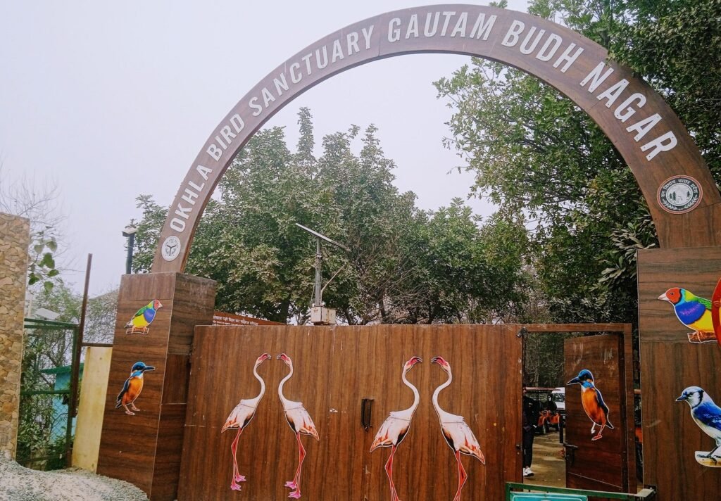 Okhla Bird Sanctuary.