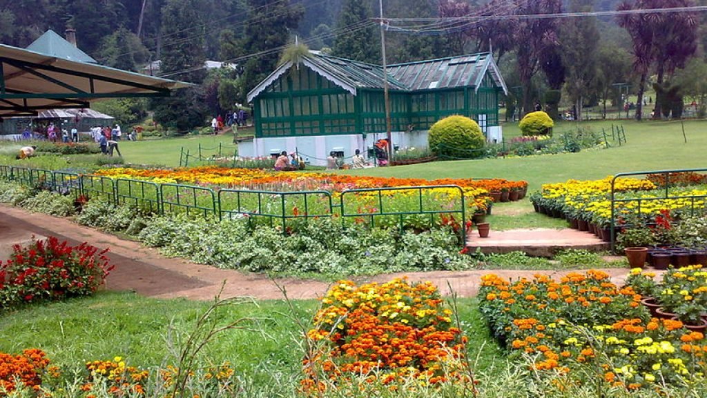the Botanical Garden